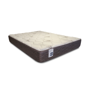COLCHON "GANI" ESPUMA GOLDEN FLEX 2 PLAZAS